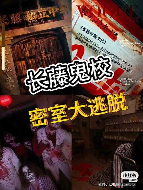 噩梦玩具体验馆海棠:恐怖与惊悚的极致体验