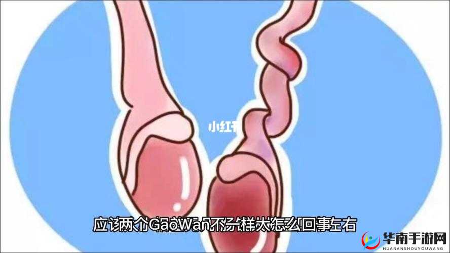 我们班有个男生睾丸特别大：他的身体到底怎么了？