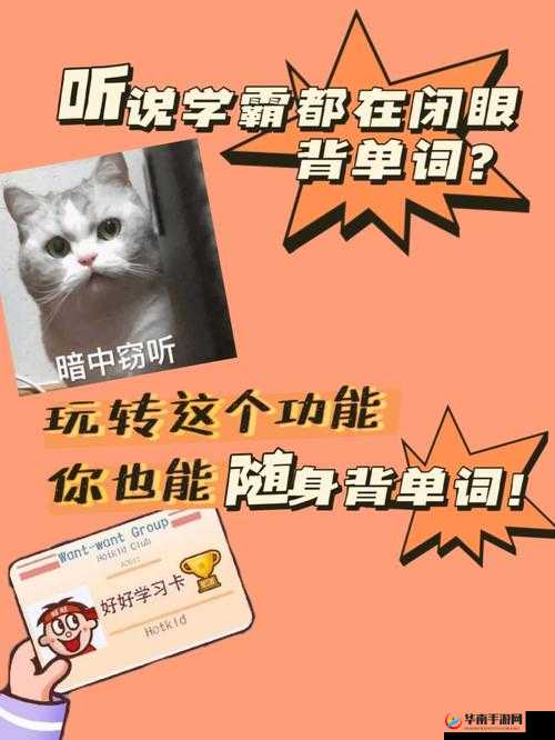 思维坐在学霸的鸡上背单词双楠：高效学习法分享