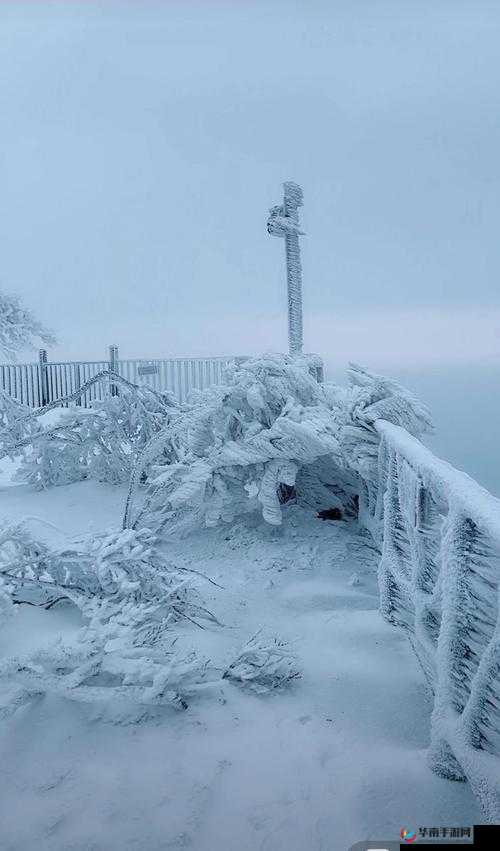 又白又大的两座峰要凉了：原因何在