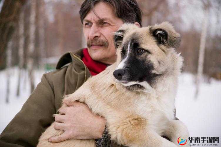 外国人物与动物交互狗 aa：跨越物种的奇妙友谊