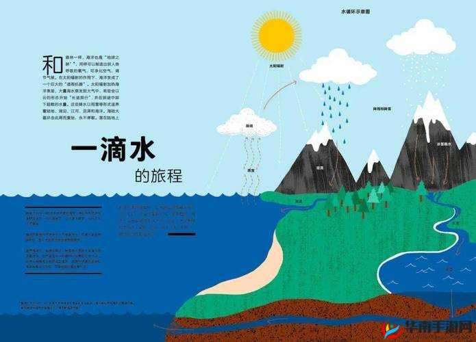 让我们一起探索 hj59c1 的奥秘