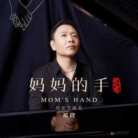 大多数梅悠悠的喜好概览：探索梅悠悠普遍喜爱的元素与特质