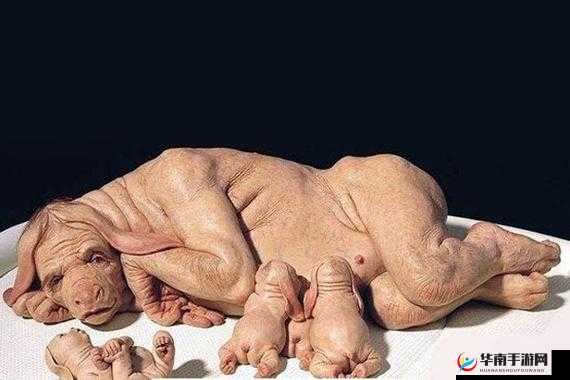 人猪又细又长像钻头一样图片:奇特生物的奇妙形态