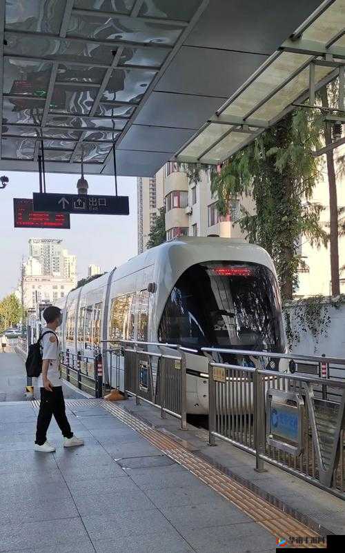 小诗的公交车：城市中的移动风景