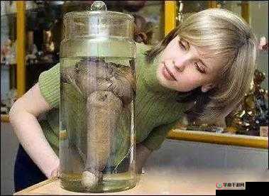 我们班有个男生睾丸特别大：震惊