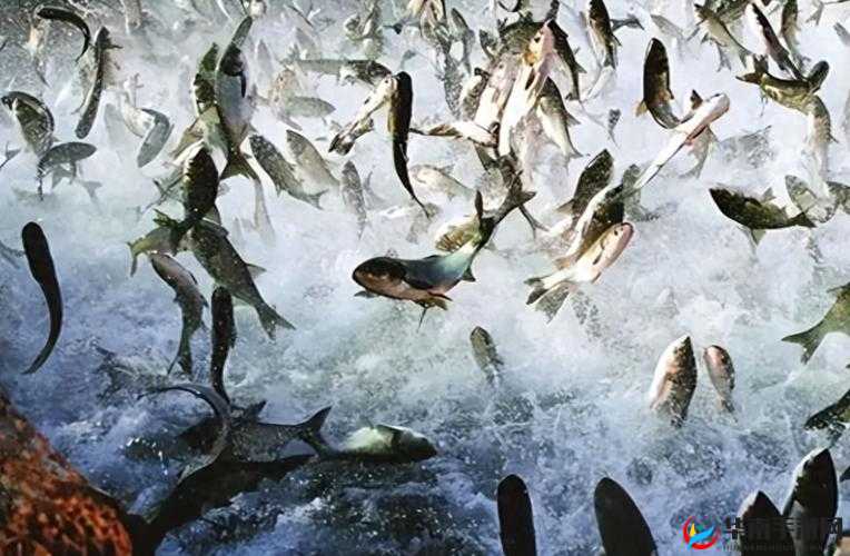 国精产品一区二区三区有限：优质产品引领潮流