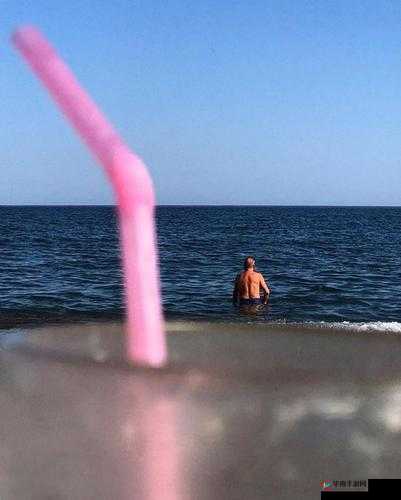 完整性残疾 XXX 极品 HD：独特视角呈现