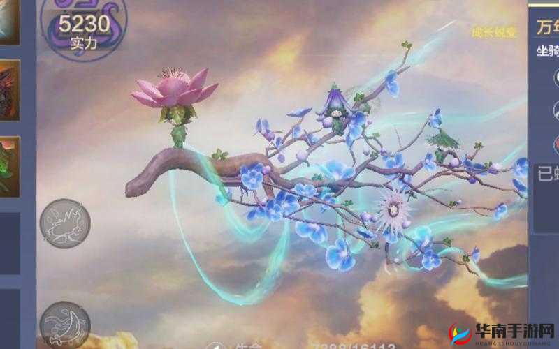 妄想山海若木之灵获取攻略揭秘：解锁专属之灵的正确途径与方法解析