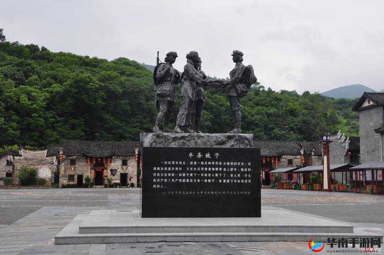 拔萝卜生猴子不盖被子:背后的故事