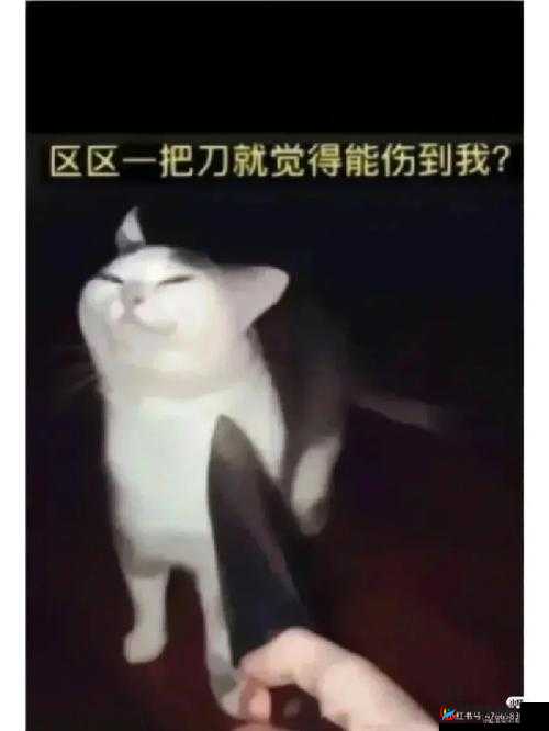 探索人与畜禽交互 MOUSE 突然爆火：是人性的扭曲还是道德的沦丧？