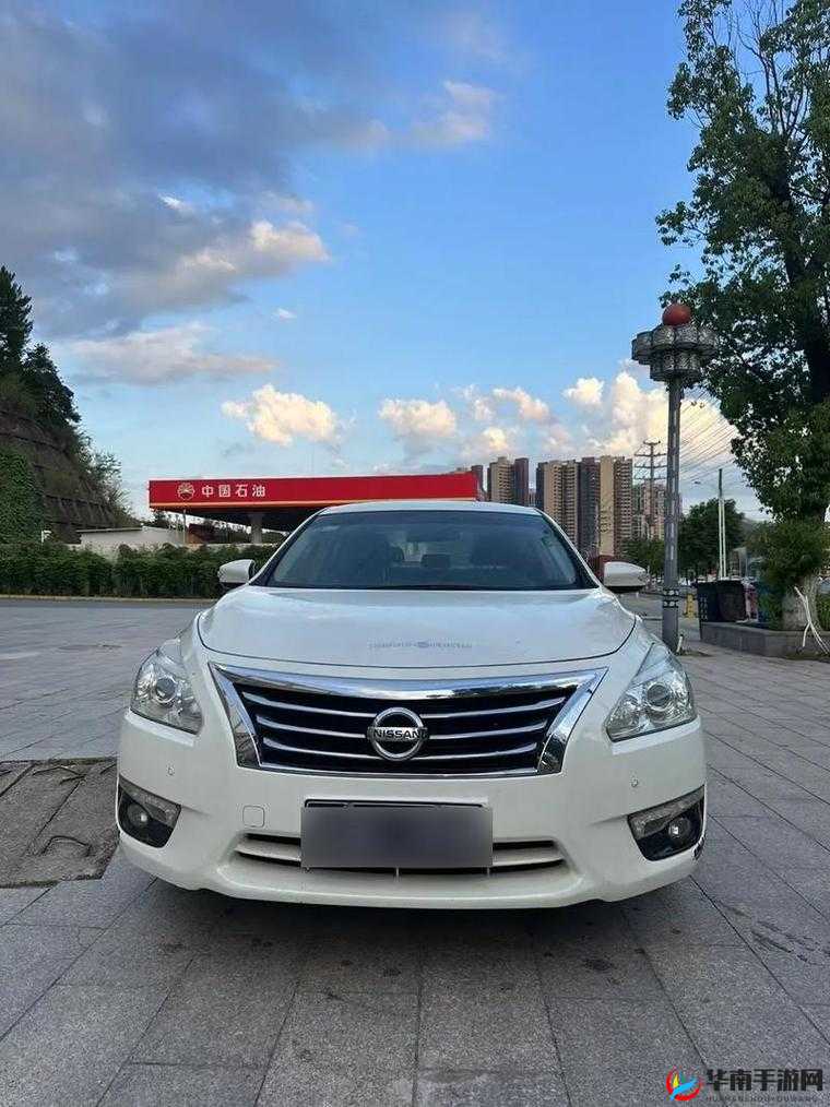 欧产日产国色天香吗：其独特魅力探究