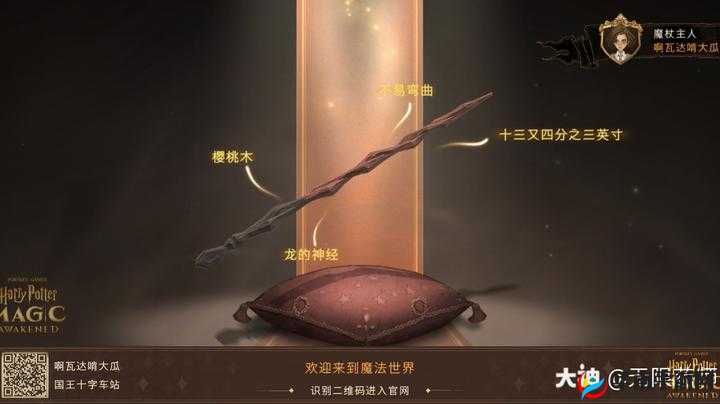 《哈利波特魔法觉醒：换魔杖全攻略，轻松获得魔法力量》