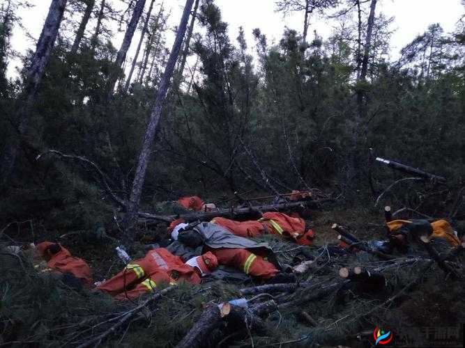 手划过小腹划入黑色丛林：探索未知的神秘世界