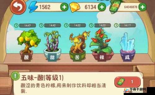 在幸福路上的火锅店，探索五味瓶的奥秘