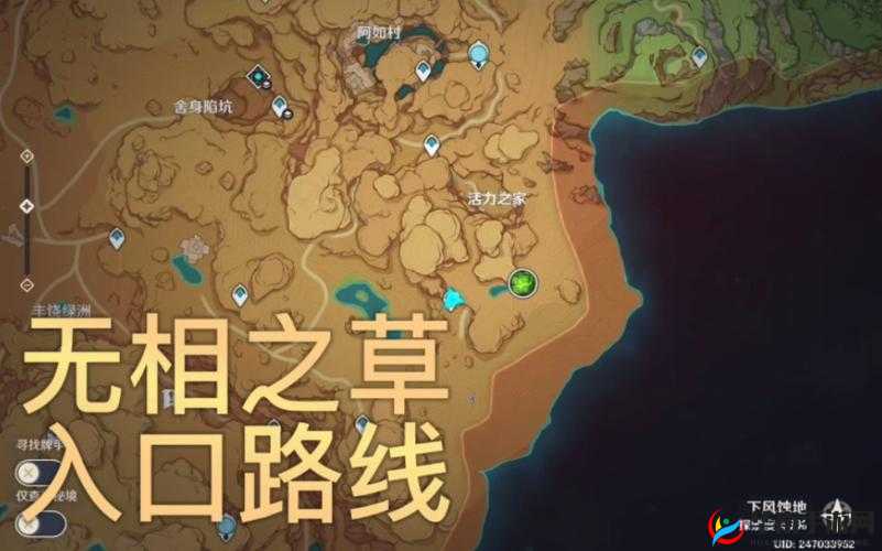 原神攻略：探寻无相草的神秘之地 秘境解析之无相草所在位置揭秘