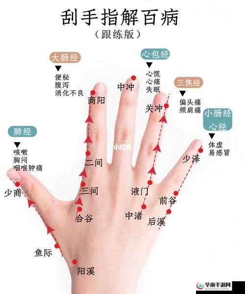 请用你的手打扰我樱花：一段独特的情感纠葛