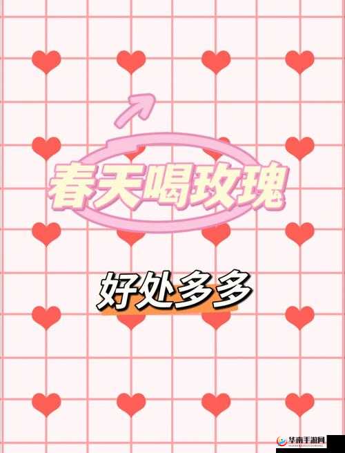 免费进入 B 站哔哩哔哩：好处多多超精彩