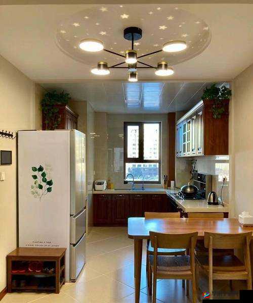 从厨房一路干到客厅好吗的新发现：令人震惊