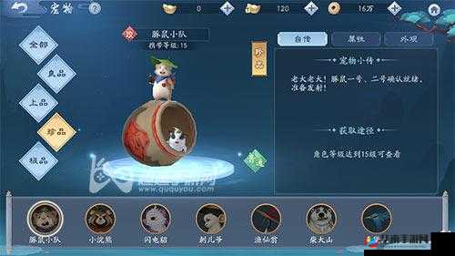 新笑傲江湖豚鼠小队独特魅力大揭秘