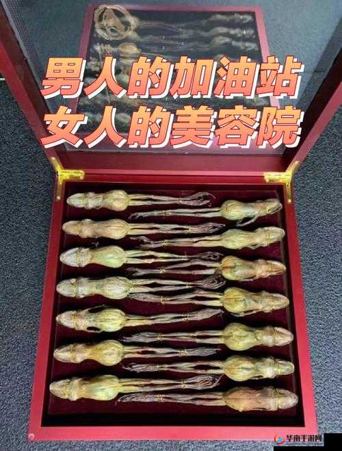 超黄：男人的加油站，女人的美容院