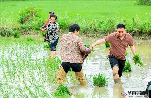 夫妻之间的 108 种插秧法：探索亲密关系的新方式