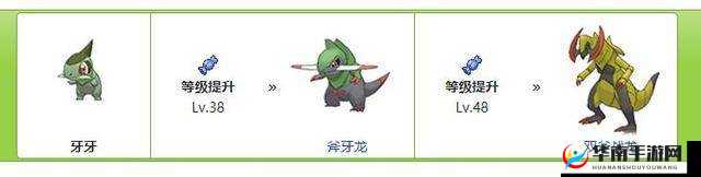 宝可梦剑盾牙牙进化全攻略 进化条件与方法详细解读