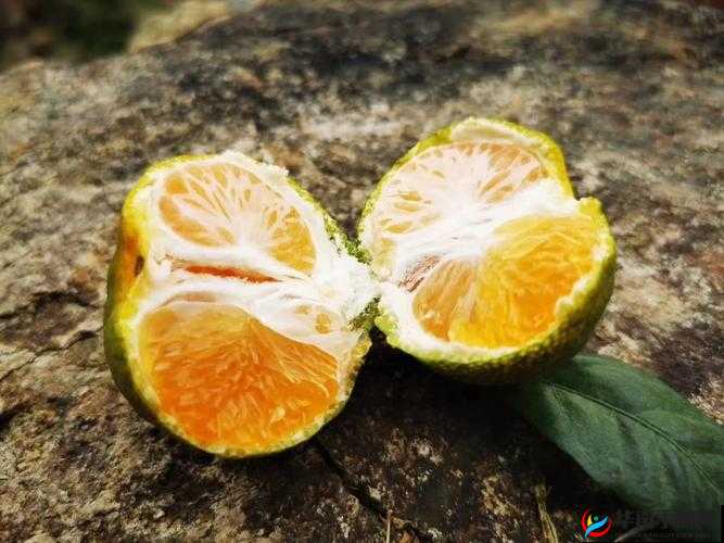 玉杵入牦户天下一奇-吃桔带皮之奇闻