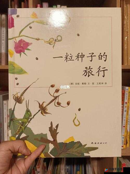 香大伊煮三区五区:探索未知的奇妙之旅