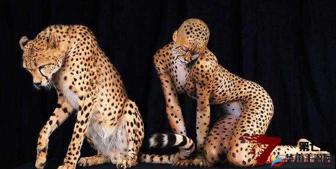 欧洲极品人与兽：震撼人性与兽性的奇妙碰撞