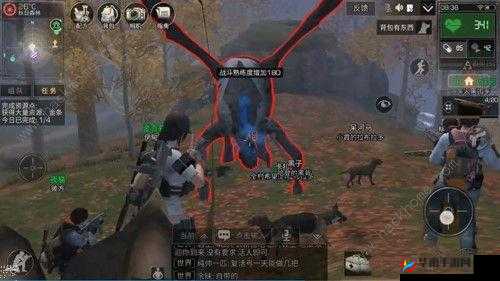 秋日森林不明生物何时刷新？掌握时间，探索神秘世界