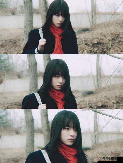 从日本电影三叶草的春天感想中学到的青春成长课：珍惜当下，勇敢追梦