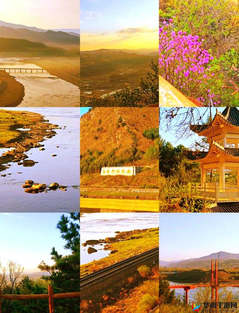 伊春园 2024 口直达：开启便捷之旅