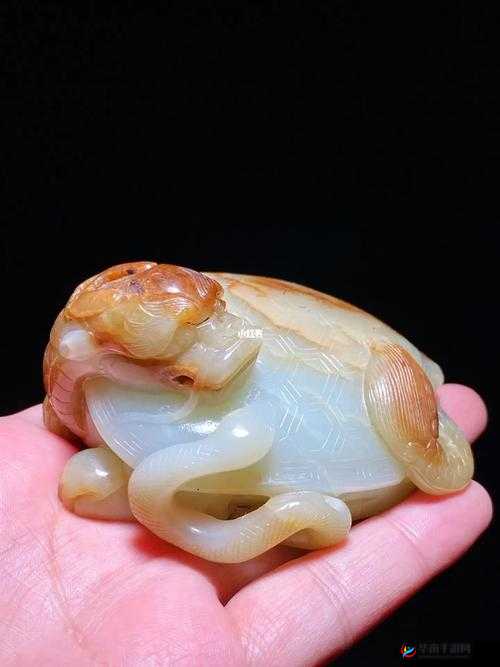 花与剑中获取玄武玉的途径和方法全解析你知道多少