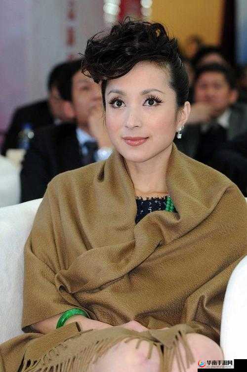 柏芝的 HD69 私密时刻：神秘面纱背后的故事