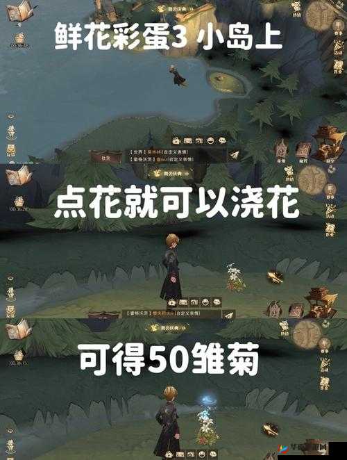 哈利波特魔法觉醒鲜花彩蛋位置揭秘