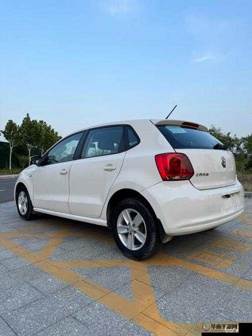 天天综合社：服务大众的优质之选