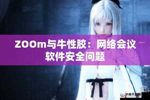 Zoom 与牛性胶 ZOOm 区别：功能与用途