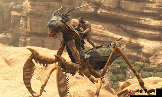 方舟手游中螳螂通常会出现在什么地方及其具体位置解析