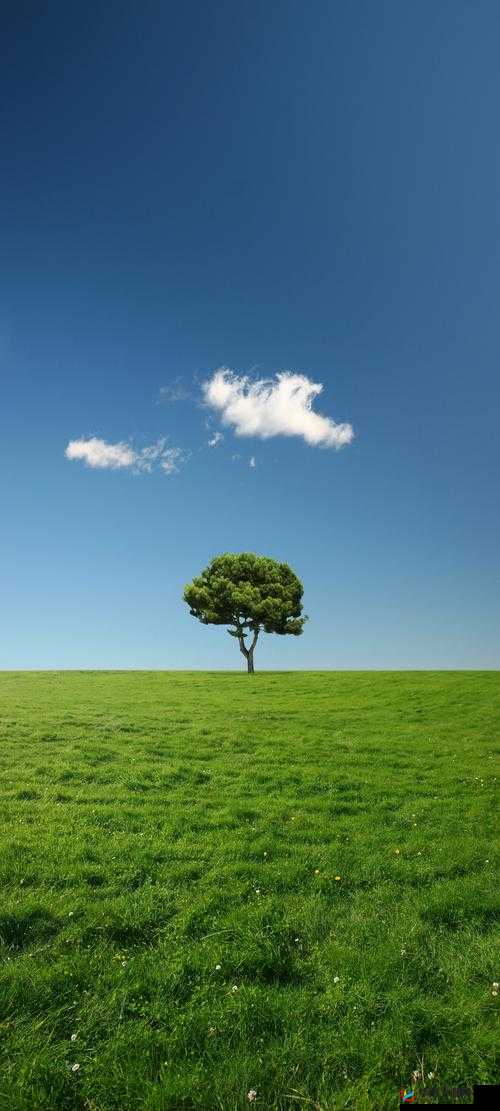 lutube 苹果手机轻量版：畅享优质影视资源