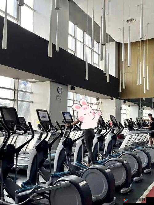 健身房里的秘密服务：独特体验等你来