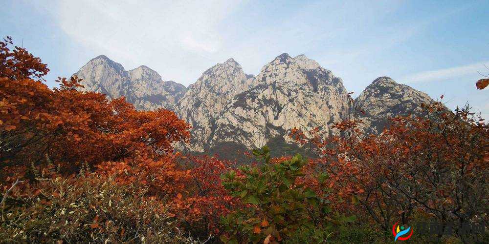 精品亚美一区二区三区精品：更多精彩内容等你来发现