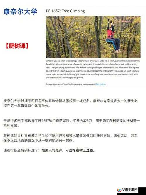 美国老师打扑克相关内容探讨