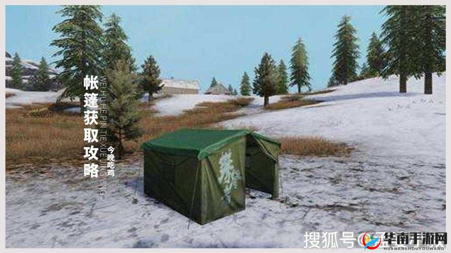 和平精英帐篷作用详解：隐匿保护与安全栖身之场所介绍