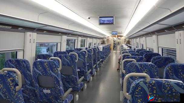 双夫 1v2 现代模式背后的社会变革：深度解析