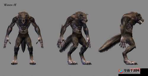 狼人综合干练：狩猎人性的极致表现