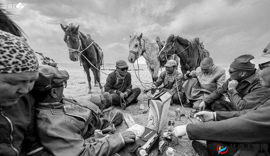 内捧进出爽：大牛汉子的激情故事