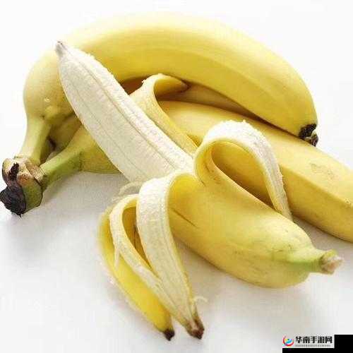www.sss 大香蕉：最新鲜的美味呈现