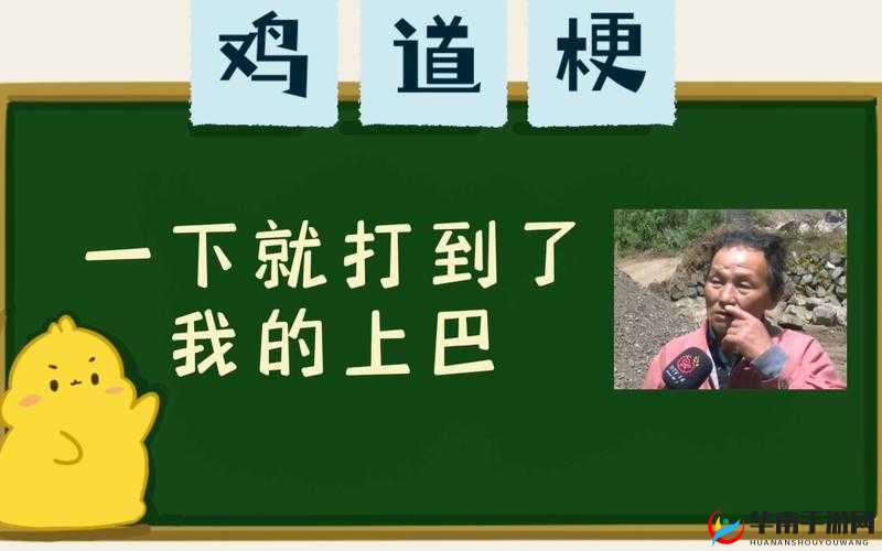 上巴成梗背后：地域文化背景下的网络流行语探寻之旅