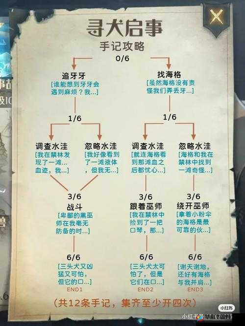 哈利波特魔法觉醒魔法石支线攻略:解锁通关秘籍与技巧